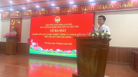 Triển khai dự án Quỹ Hỗ trợ nông dân tỉnh, thành lập Chi hội Nông dân nghề nghiệp trồng na tại xã Chi Lăng