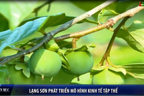 Lạng Sơn phát triển mô hình kinh tế tập thể