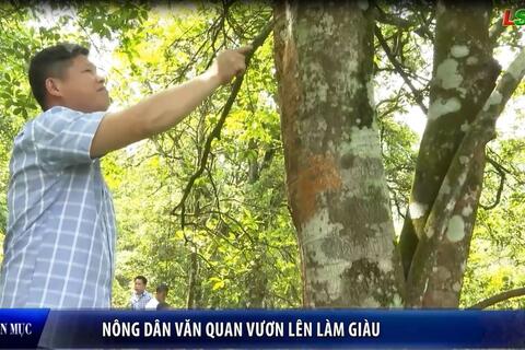 Nông dân Văn Quan  vươn lên làm giàu