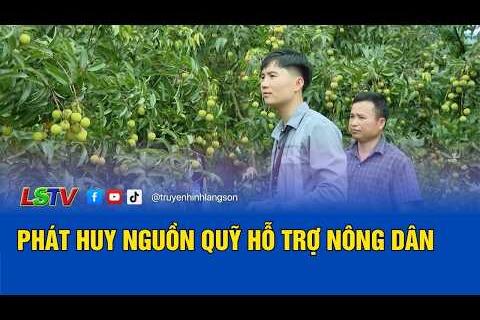 Phát huy nguồn quỹ hỗ trợ nông dân
