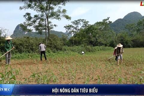 Nông dân Xứ Lạng tiêu biểu