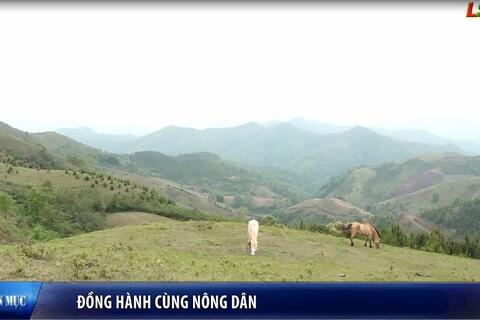 Đồng hành cùng Nông dân