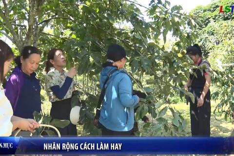 Phụ nữ Xứ Lạng - Nhân rộng cách làm hay