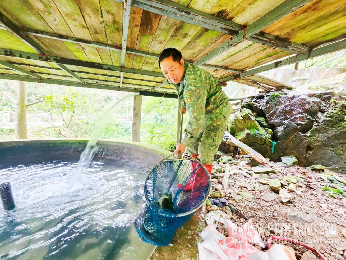 Anh Hoàng Phúc Tình chăm sóc cá tầm tại bể nuôi