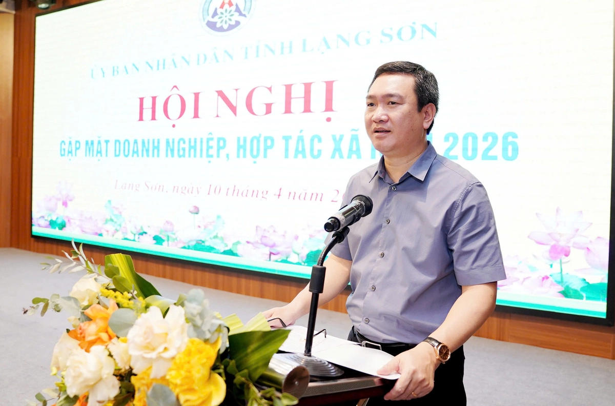 Các nữ doanh nhân kiến nghị gì với Chủ tịch UBND tỉnh Lạng Sơn?- Ảnh 7.