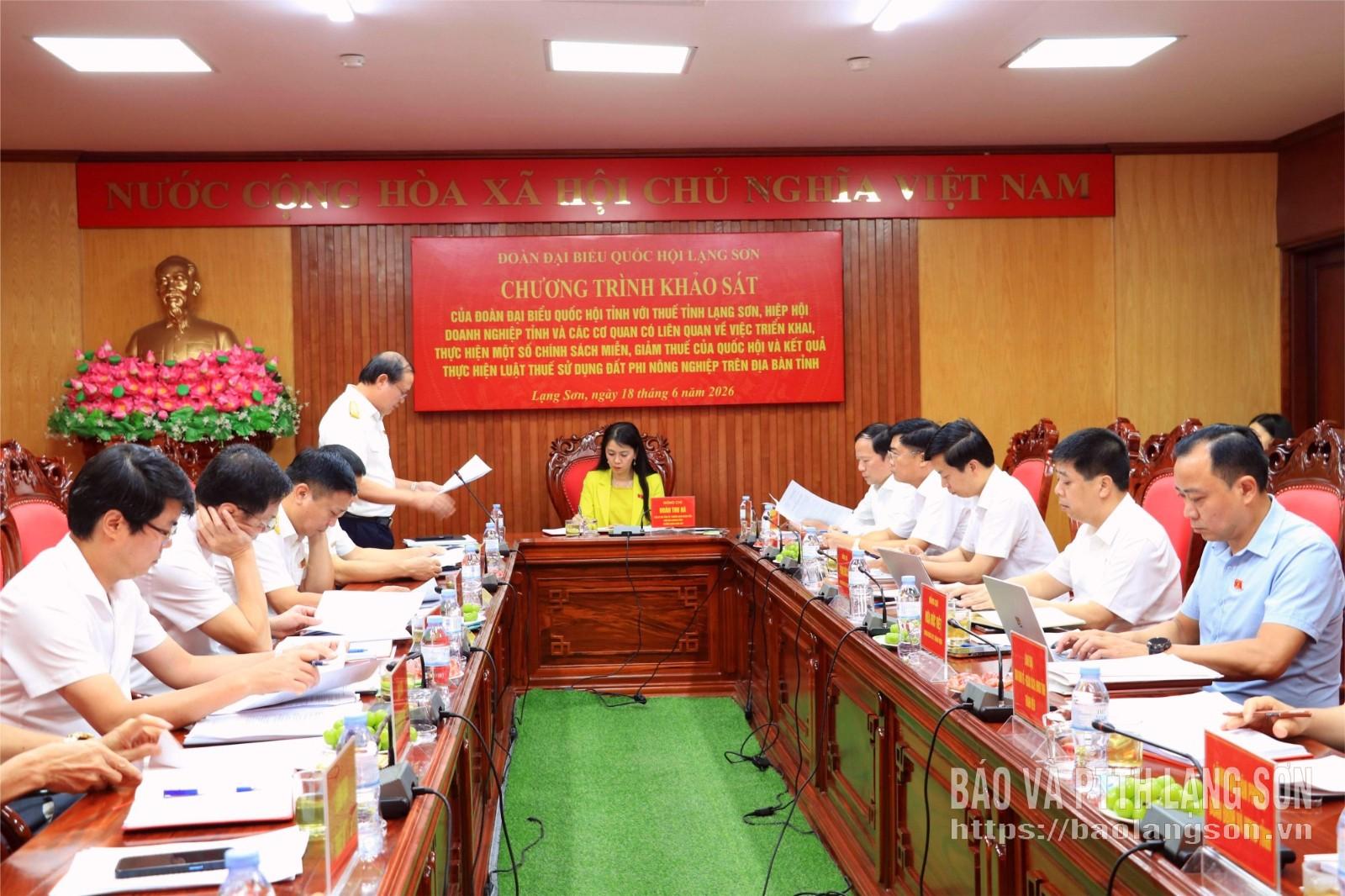 Lãnh đạo Thuế tỉnh báo cáo tình hình triển khai chính sách thuế trên địa bàn tỉnh