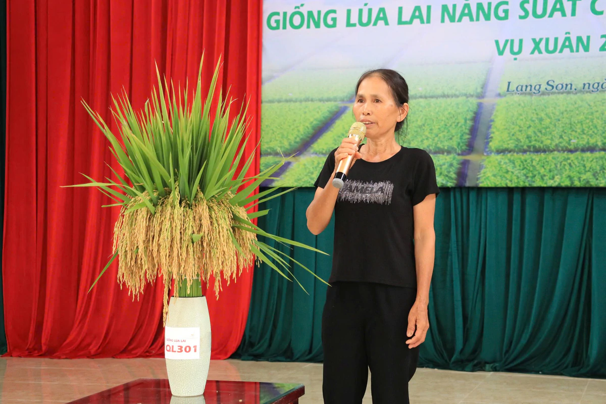 Phụ nữ xứ Lạng hào hứng với giống lúa giúp xóa đói, giảm nghèo- Ảnh 2.