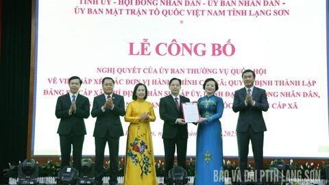 Công bố Nghị quyết của Ủy ban Thường vụ Quốc hội, các quyết định của tỉnh về thực hiện mô hình chính quyền địa phương 2 cấp.