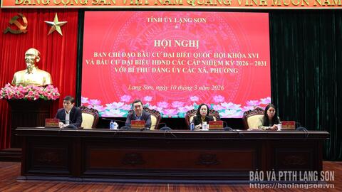 Ban Chỉ đạo bầu cử tỉnh đánh giá tiến độ thực hiện công tác bầu cử