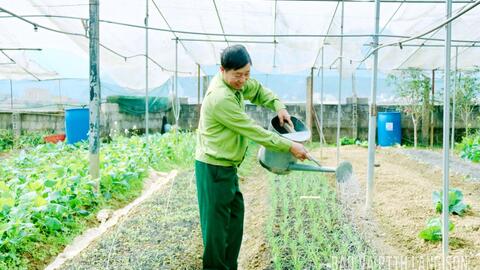 Cựu chiến binh Bình Gia làm kinh tế
