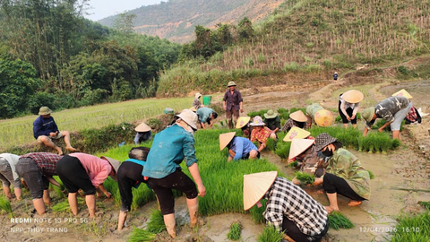 HỘI LHPN XÃ XUÂN DƯƠNG THỰC HIỆN PHONG TRÀO "Phụ nữ giúp nhau có địa chỉ"