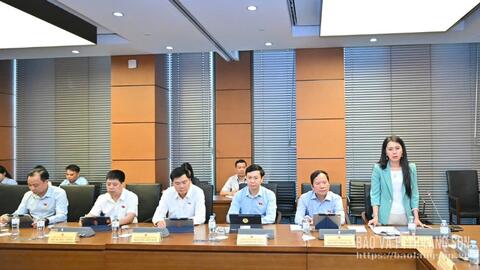 Đại biểu Quốc hội tỉnh phát biểu thảo luận về kết quả thực hiện kế hoạch phát triển kinh tế - xã hội