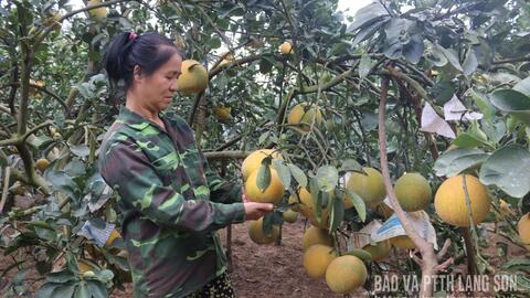 Khi người dân là chủ thể xây dựng nông thôn mới