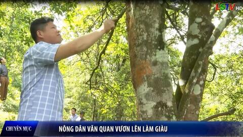 Nông dân Văn Quan  vươn lên làm giàu