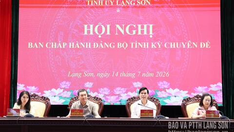 Ban Chấp hành Đảng bộ tỉnh tổ chức hội nghị chuyên đề về công tác cán bộ