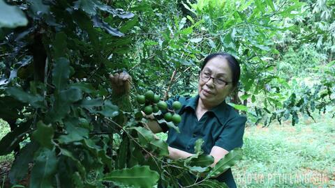 Thanh niên xung phong xã Thất Khê: Thi đua yêu nước