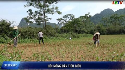Nông dân Xứ Lạng tiêu biểu