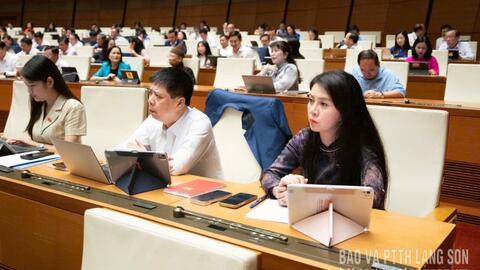 Đại biểu Quốc hội tỉnh góp ý về định hướng chính sách sửa đổi một số luật