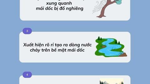 Cách nhận biết và ứng phó với sạt lở