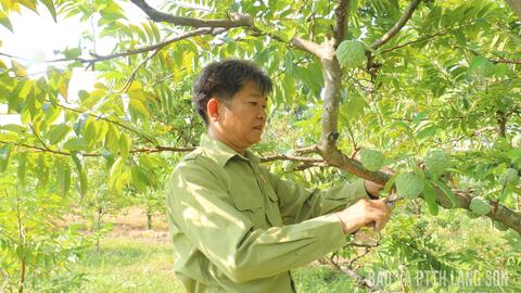 Hội Cựu chiến binh xã Chi Lăng: Đồng hành cùng hội viên phát triển kinh tế