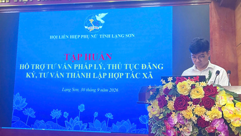 60 hội viên phụ nữ được tập huấn tư vấn pháp lý, hỗ trợ thủ tục đăng ký thành lập Hợp tác xã