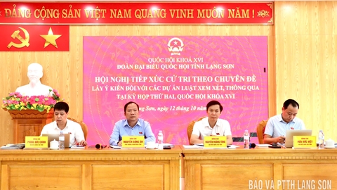Đoàn đại biểu Quốc hội tỉnh tiếp xúc cử tri, lấy ý kiến đối với các dự án luật thuộc lĩnh vực công thương