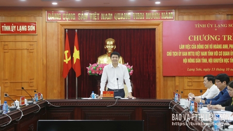 Lãnh đạo tỉnh làm việc với cơ quan Ủy ban MTTQ Việt Nam tỉnh và các hội về quản lý, sử dụng các loại quỹ