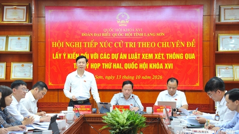 Đoàn đại biểu Quốc hội tỉnh lấy ý kiến đối với các dự án luật thuộc lĩnh vực nội vụ
