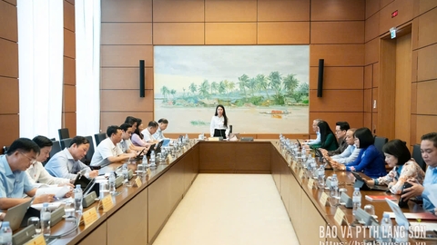 Đoàn đại biểu Quốc hội tỉnh góp ý vào một số dự án luật