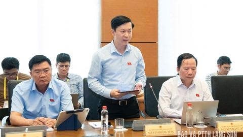 Đoàn đại biểu Quốc hội tỉnh tham gia thảo luận tại tổ về một số dự án luật