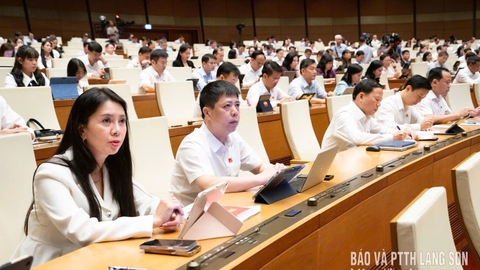 Đoàn đại biểu Quốc hội tỉnh góp ý vào một số dự án luật tại kỳ họp thứ hai