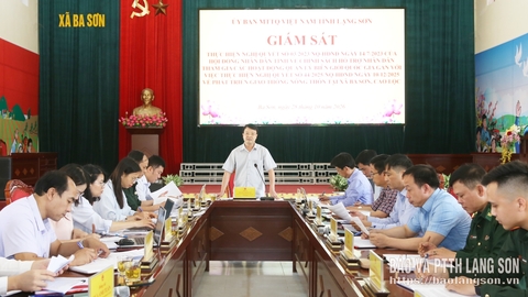 Giám sát việc thực hiện chính sách hỗ trợ quản lý, bảo vệ biên giới gắn với phát triển giao thông nông thôn tại xã Ba Sơn và Cao Lộc