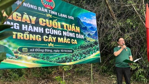 HỘI NÔNG DÂN TỈNH LẠNG SƠN TỔ CHỨC CHƯƠNG TRÌNH “NGÀY CUỐI TUẦN ĐỒNG HÀNH CÙNG NÔNG DÂN TRỒNG CÂY MẮC CA”