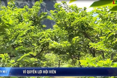 Vì quyền lợi hội viên