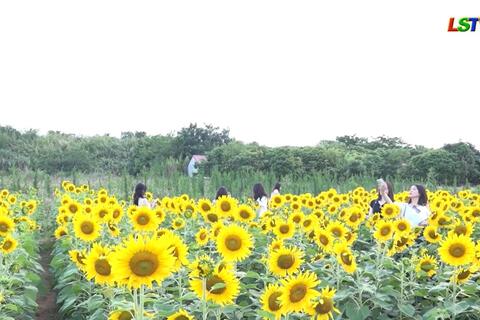 Tiềm năng mới cho nông nghiệp