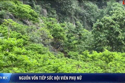Nguồn vốn tiếp sức Hội viên phụ nữ