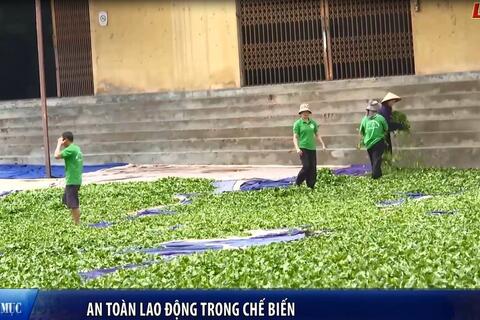An toàn lao động trong chế biến