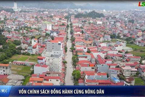 Vốn chính sách đồng hành với nông dân
