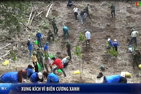 Xung kích vì biên cương xanh