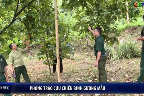 CCB Xứ Lạng -  Phong trào Cựu chiến binh gương mẫu