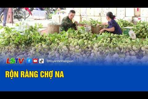 Rộn ràng chợ na - Đất và người Xứ Lạng 2026