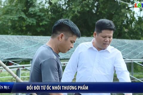 Nông dân Xứ Lạng - Đổi đời từ ốc nhồi thương phẩm