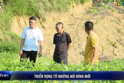 Nông dân Xứ Lạng - Triển vọng từ những mô hình mới