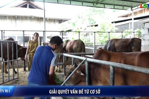 Nông dân Xứ Lạng - Giải quyết vấn đề từ cơ sở