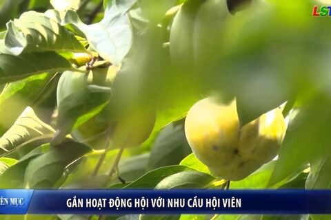 Phụ nữ Xứ Lạng - Gắn hoạt động Hội với nhu cầu hội viên