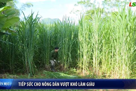 Nông dân Xứ Lạng - Tiếp sức cho nông dân vượt khó làm giàu