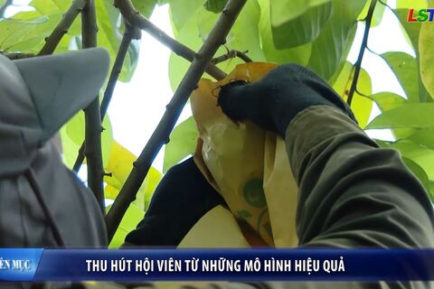 Nông dân Xứ Lạng - Thu hút hội viên từ những mô hình hiệu quả