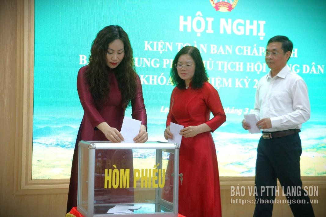 Các đại biểu bỏ phiếu bầu kiện toàn chức vụ Phó Chủ tịch Hội Nông dân tỉnh