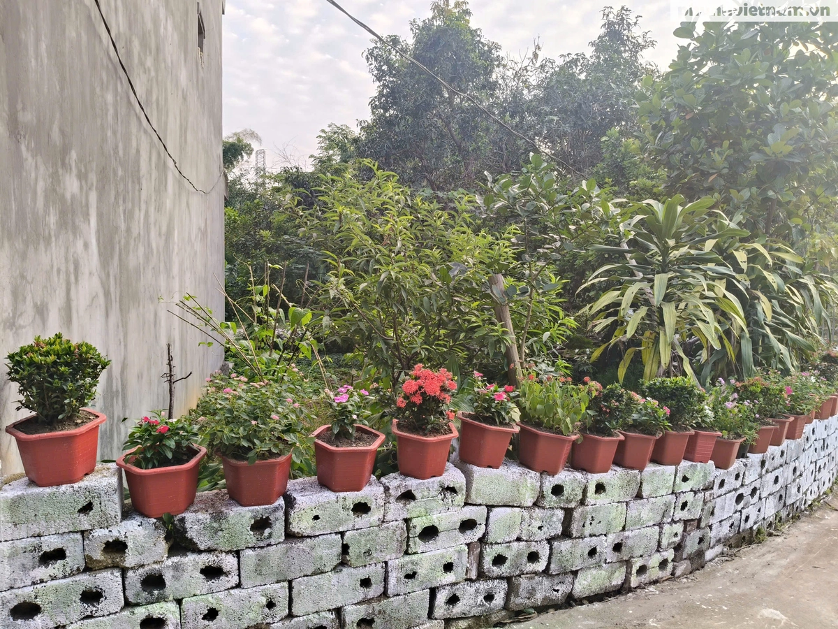 Phụ nữ xứ Lạng tô điểm đường quê vùng biên chào mừng Đại hội Phụ nữ toàn quốc XIV- Ảnh 6. Phụ nữ xứ Lạng tô điểm đường quê vùng biên chào mừng Đại hội Phụ nữ toàn quốc XIV- Ảnh 6.